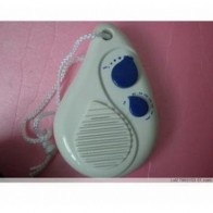 720P Waterproof Bathroom Spy Radio Camera Hidden HD DVR 16GB Motion Activated And Remote Control